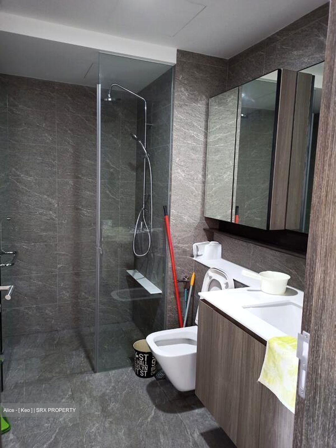 The Clement Canopy (D5), Apartment #495971961